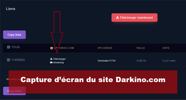 Comment fonctionne le nouveau site Darkino (ex Palixi/PapaFlix/Tirexo), est-il gratuit ?