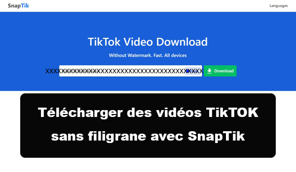 Télécharger une vidéo TikTok sans logo sur PC avec SnapTik